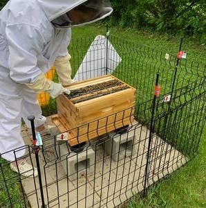 Meet your Posher, Kathleen